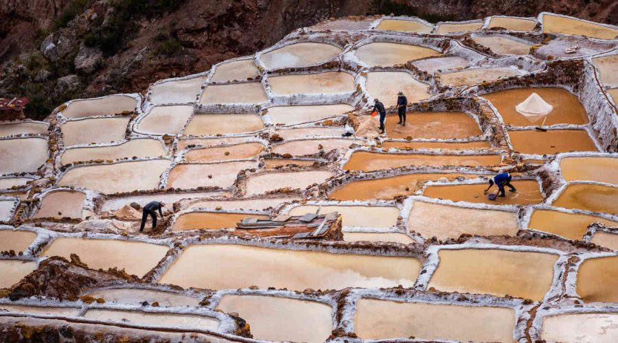 Maras Moray