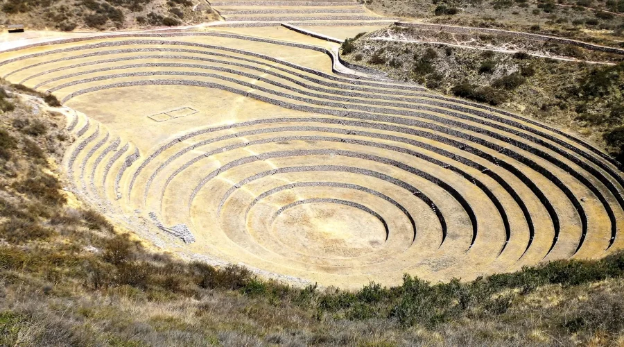 Maras Moray